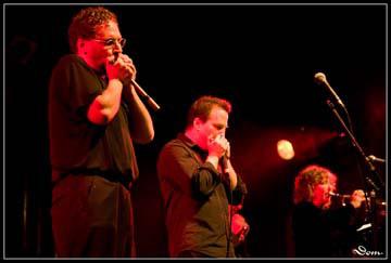 Hazmat Modine. copyright : Dominique Tomasso